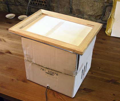 Step 8