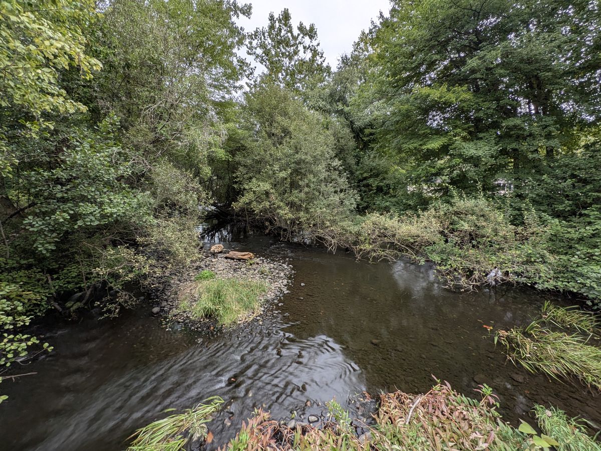 Google Pixel 9 Pro Fold camera image samples