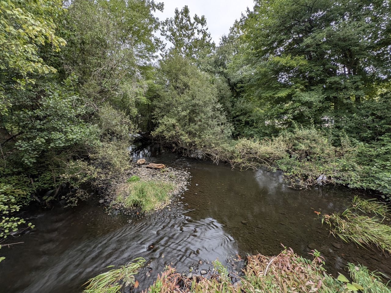 Google Pixel 9 Pro Fold camera image samples