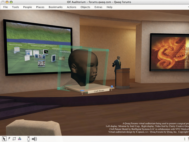 Virtual worlds