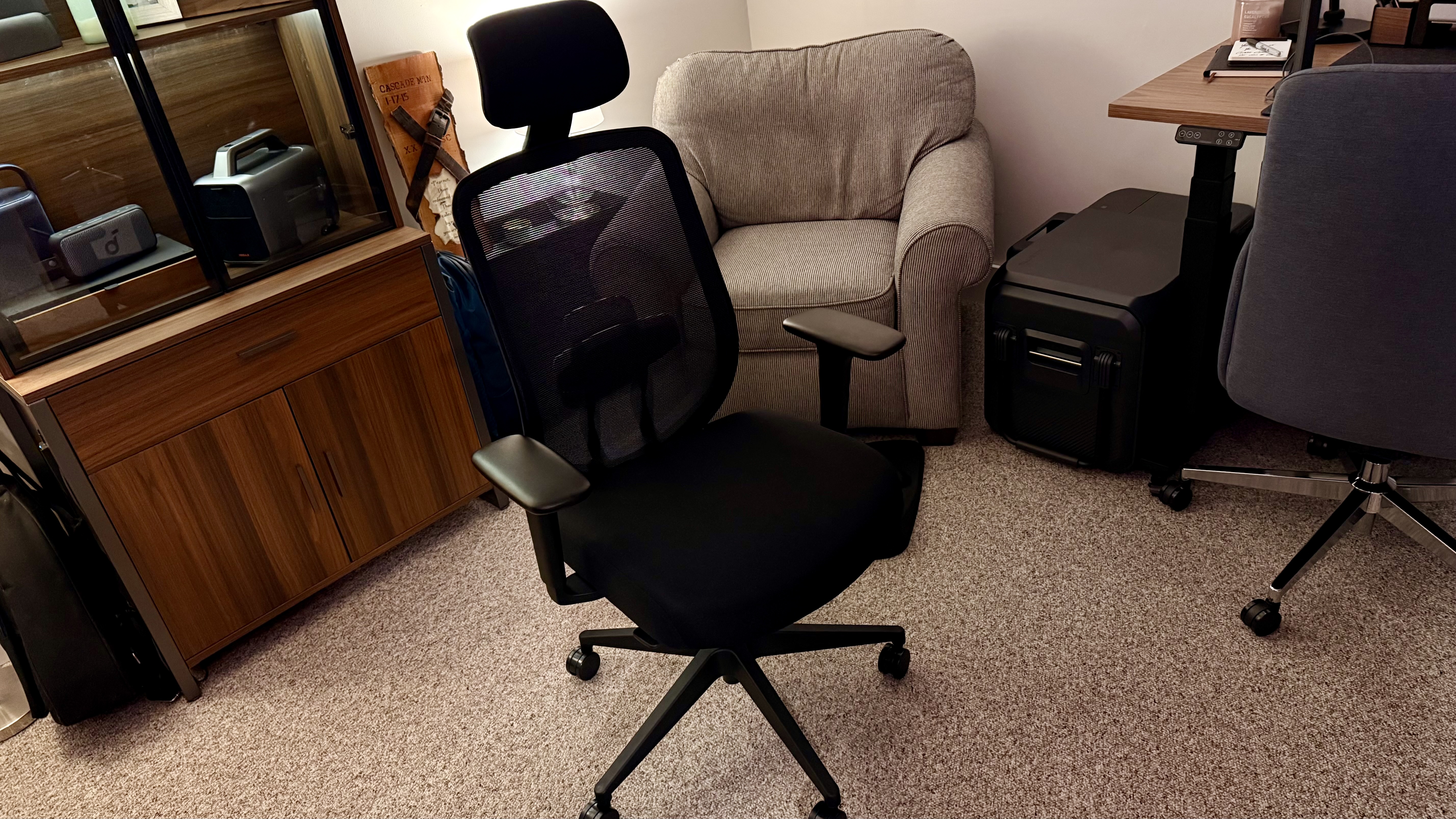 Hon Altern Task Chair