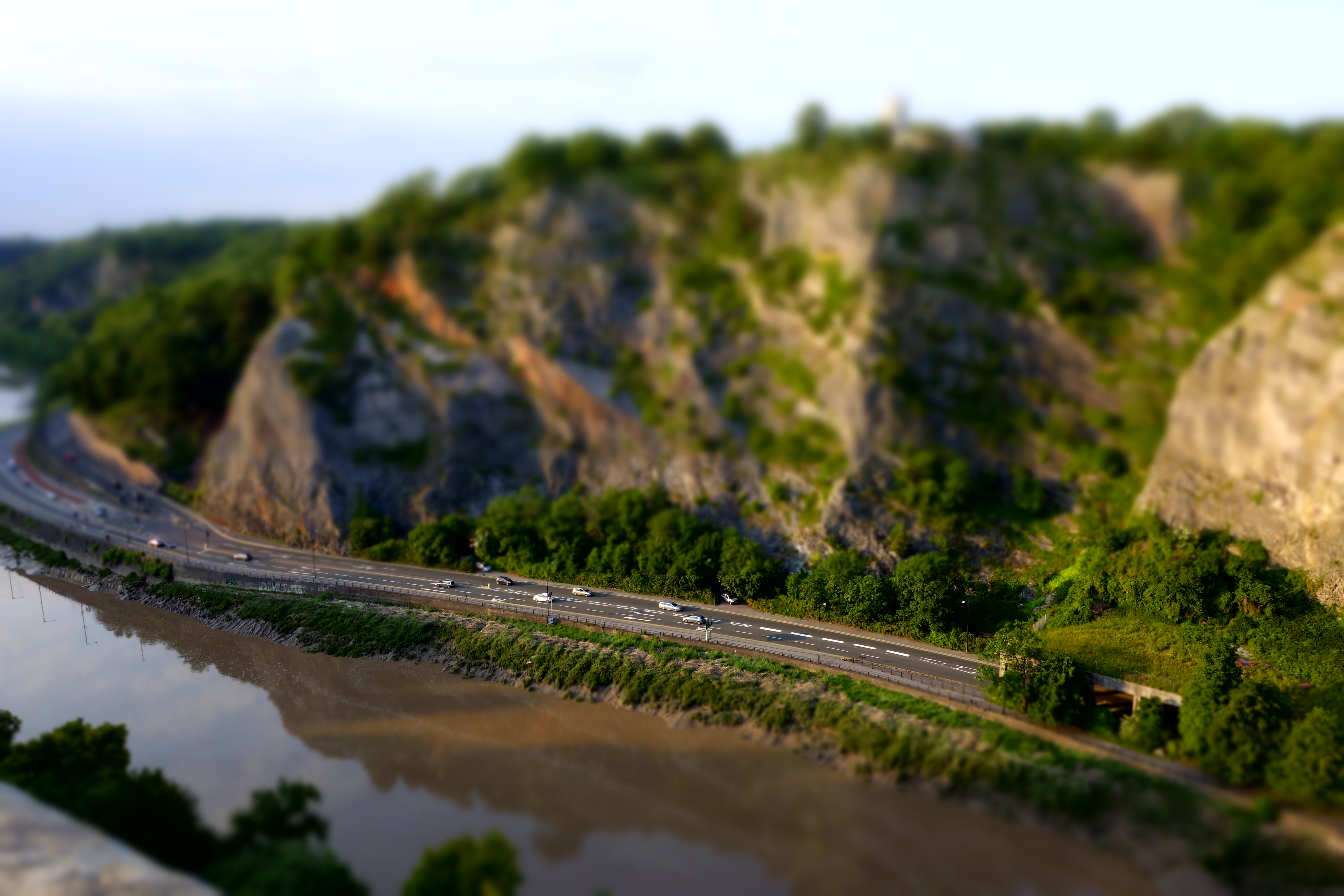 Miniature