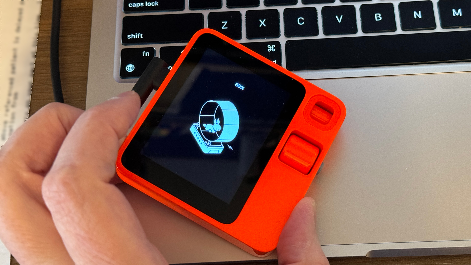Rabbit R1 Review