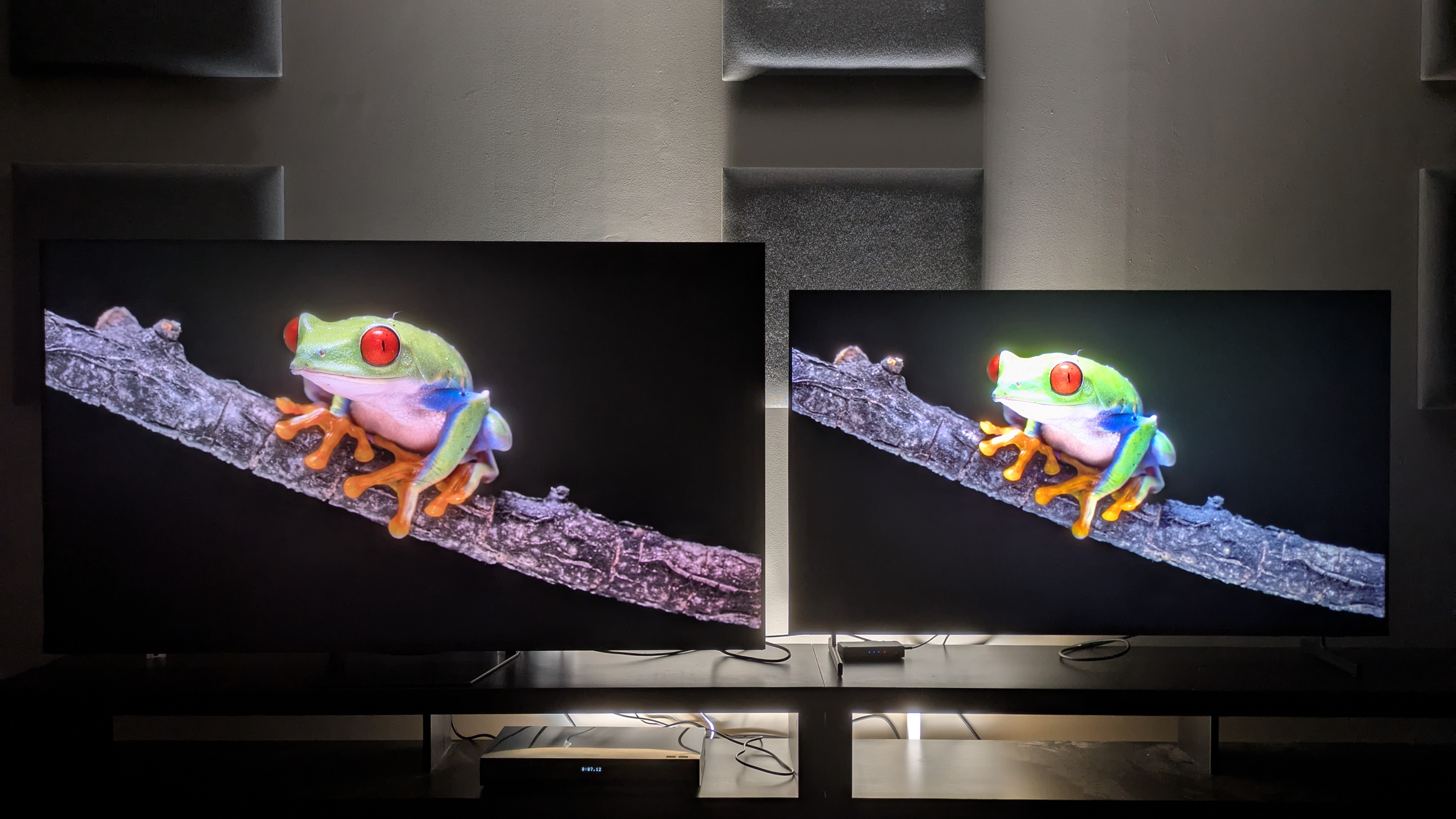 Hisense UR8 (left) and Samsung QN80H (right) showing a green frog on a branch on screen. The frog appears brighter on the QN80H 