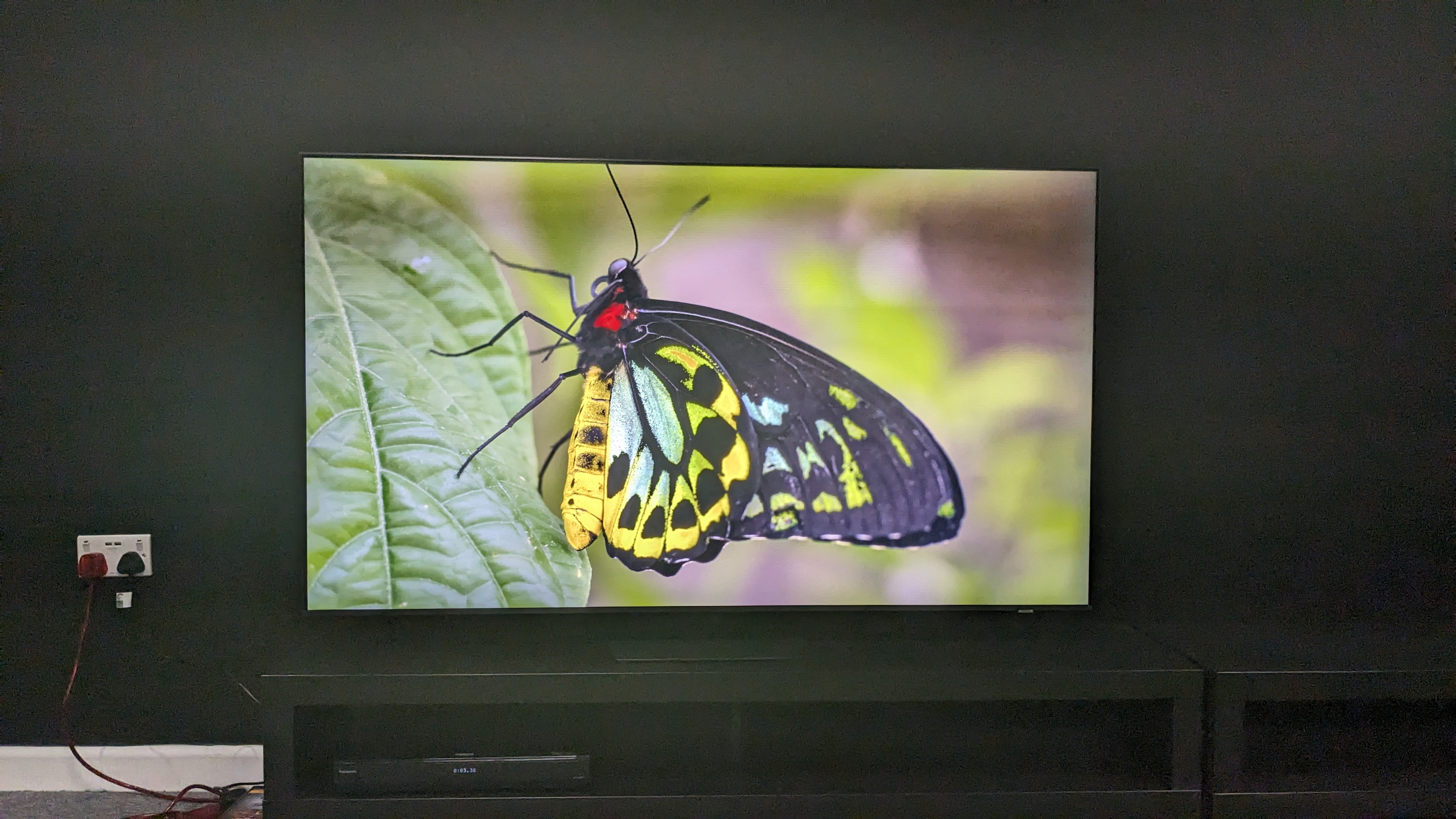Samsung QN85D with green butterfly on screen