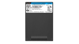 DapuStor Roealsen6 R6101C 7.68TB SSD