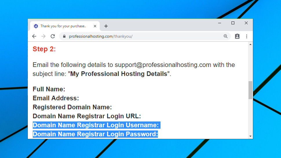 Professional Hosting