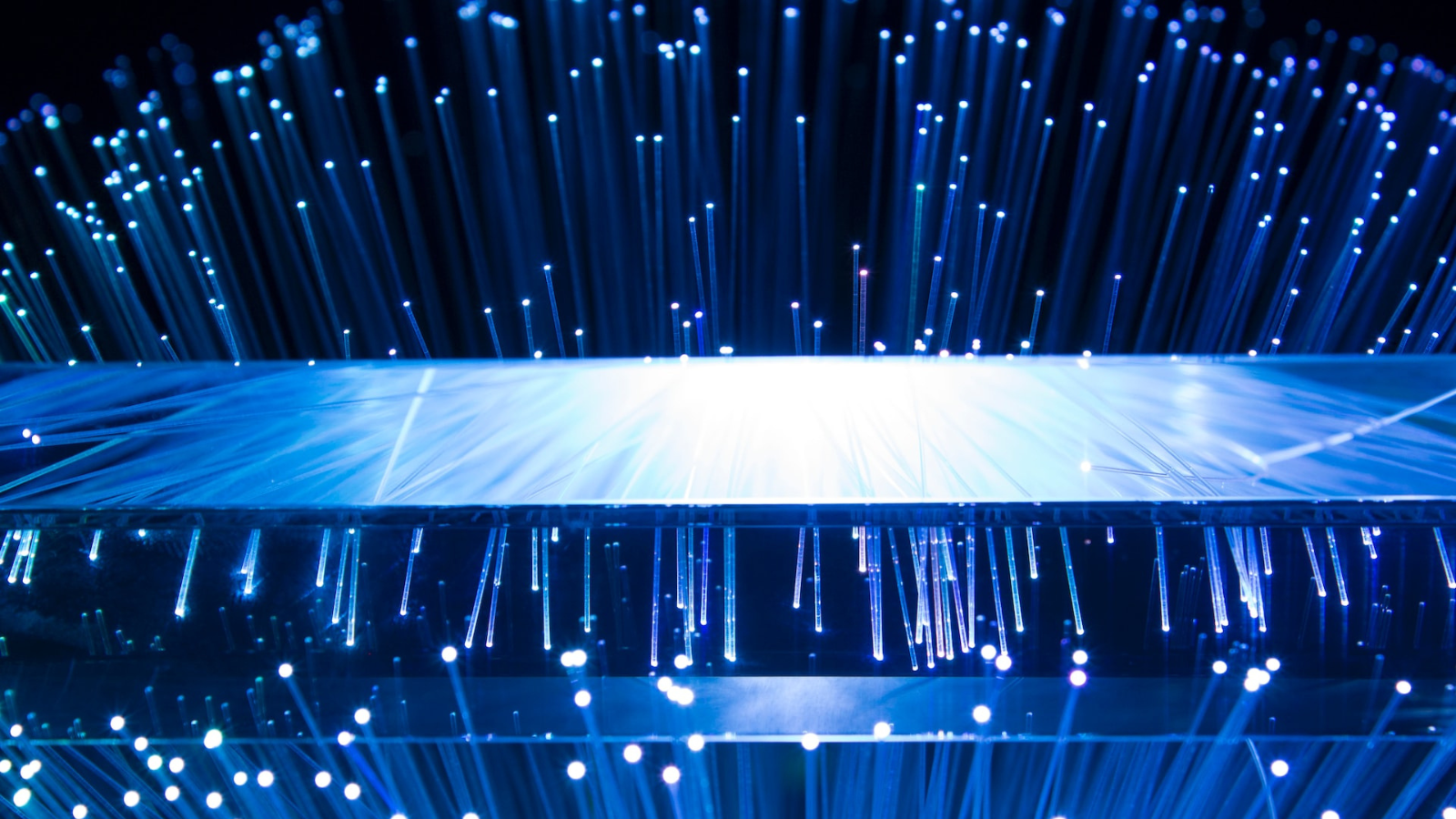 Dazzling array of fIbre optic cables