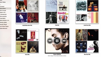 11. Genius Mixes