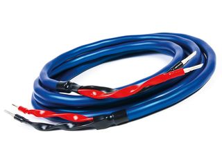 Wireworld Oasis 6