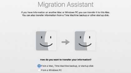3. Migration type