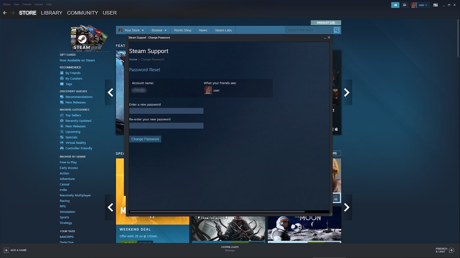 Steam password