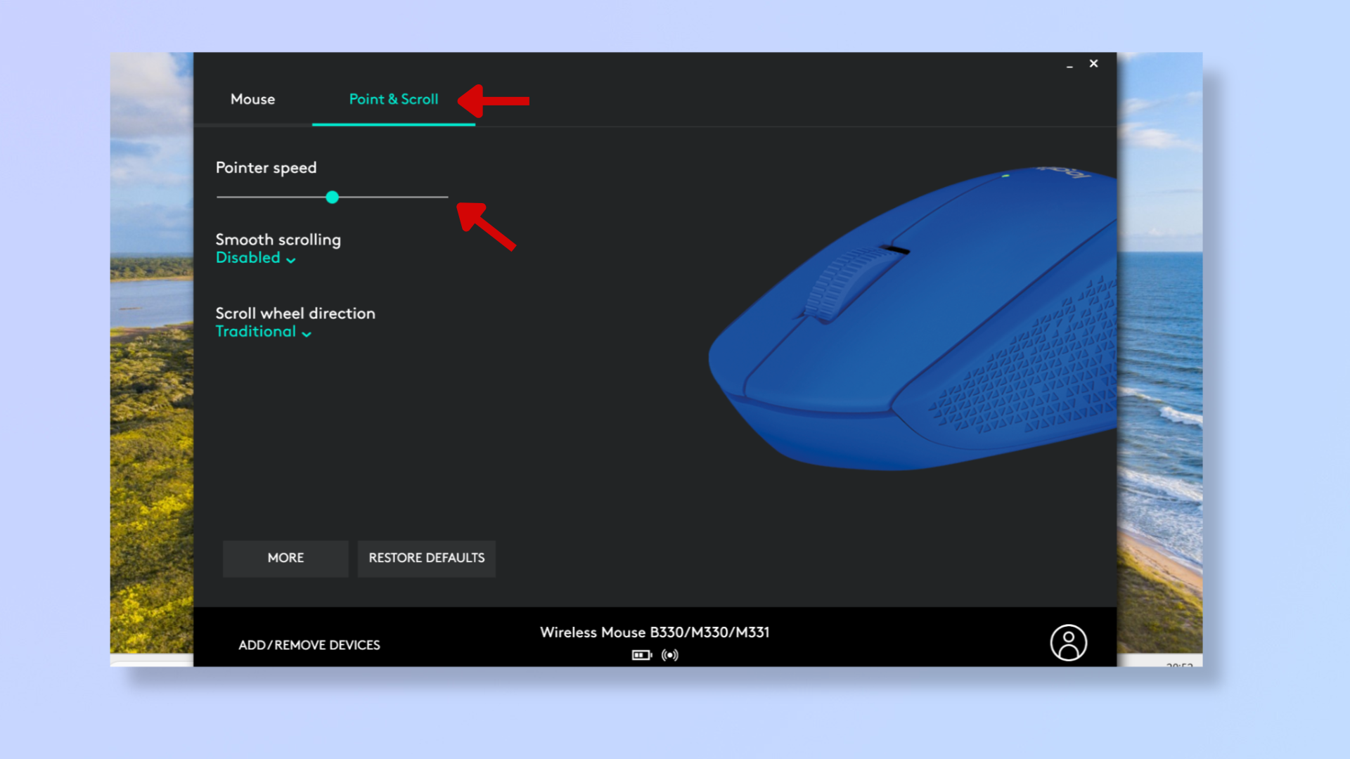 A screenshot of the Logitech Options app, with red arrows pointing at Point &amp;amp; Scroll and Pointer speed. 