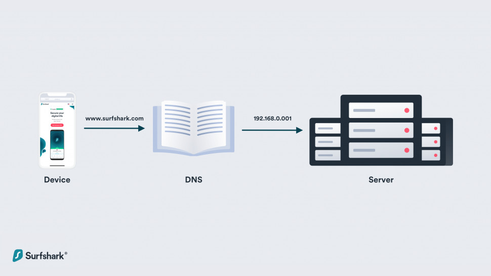 Graphic showing a DNS query converting a domain into an IP address
