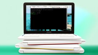 Chrome Linux