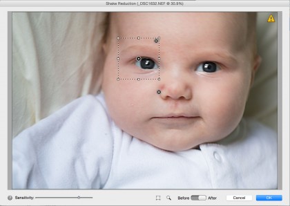 Adobe Photoshop Elements 14