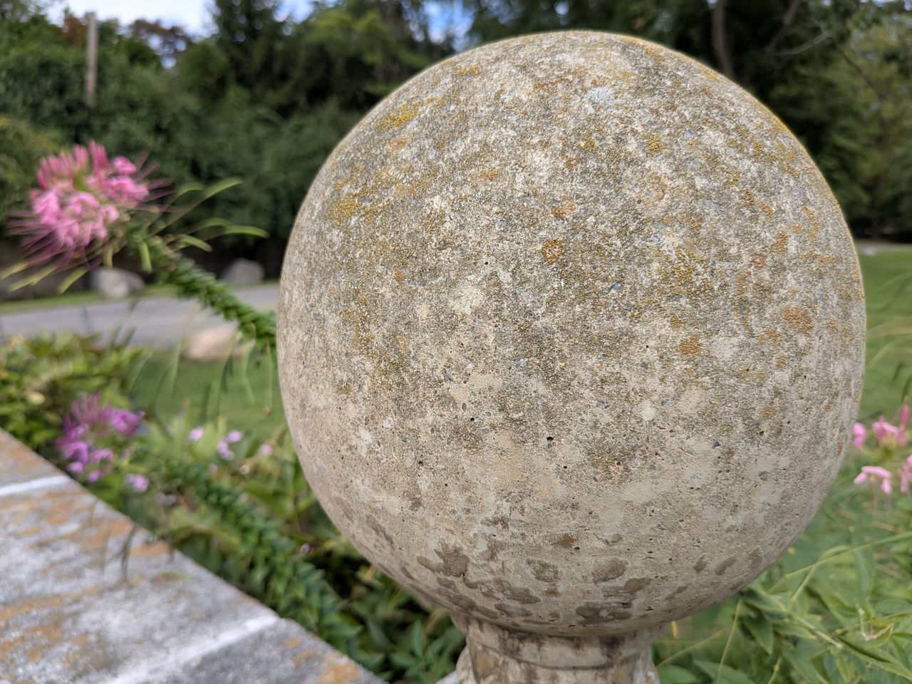 Google Pixel 9 Pro Fold camera image samples