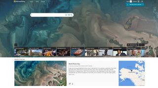 Bing Review Listing