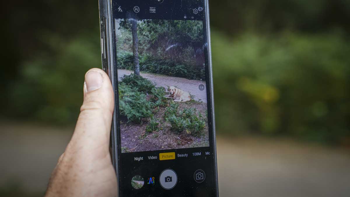 Oukitel WP56