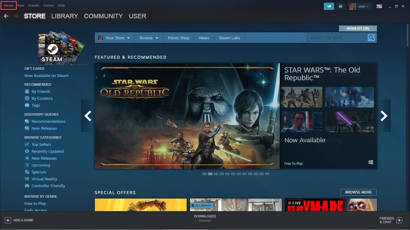 Steam password
