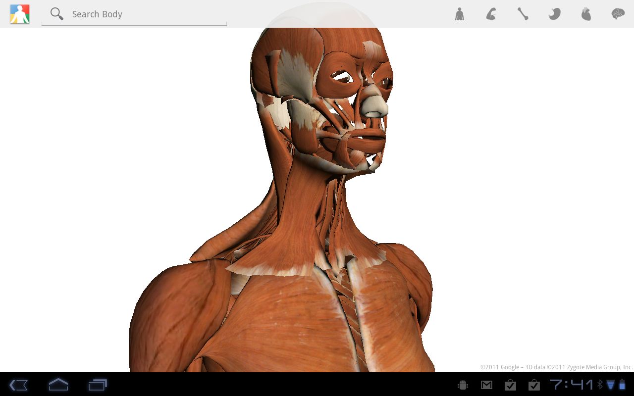 android 3.0 google body