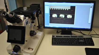 Appetite for Destruction: HP's product testing philosophy