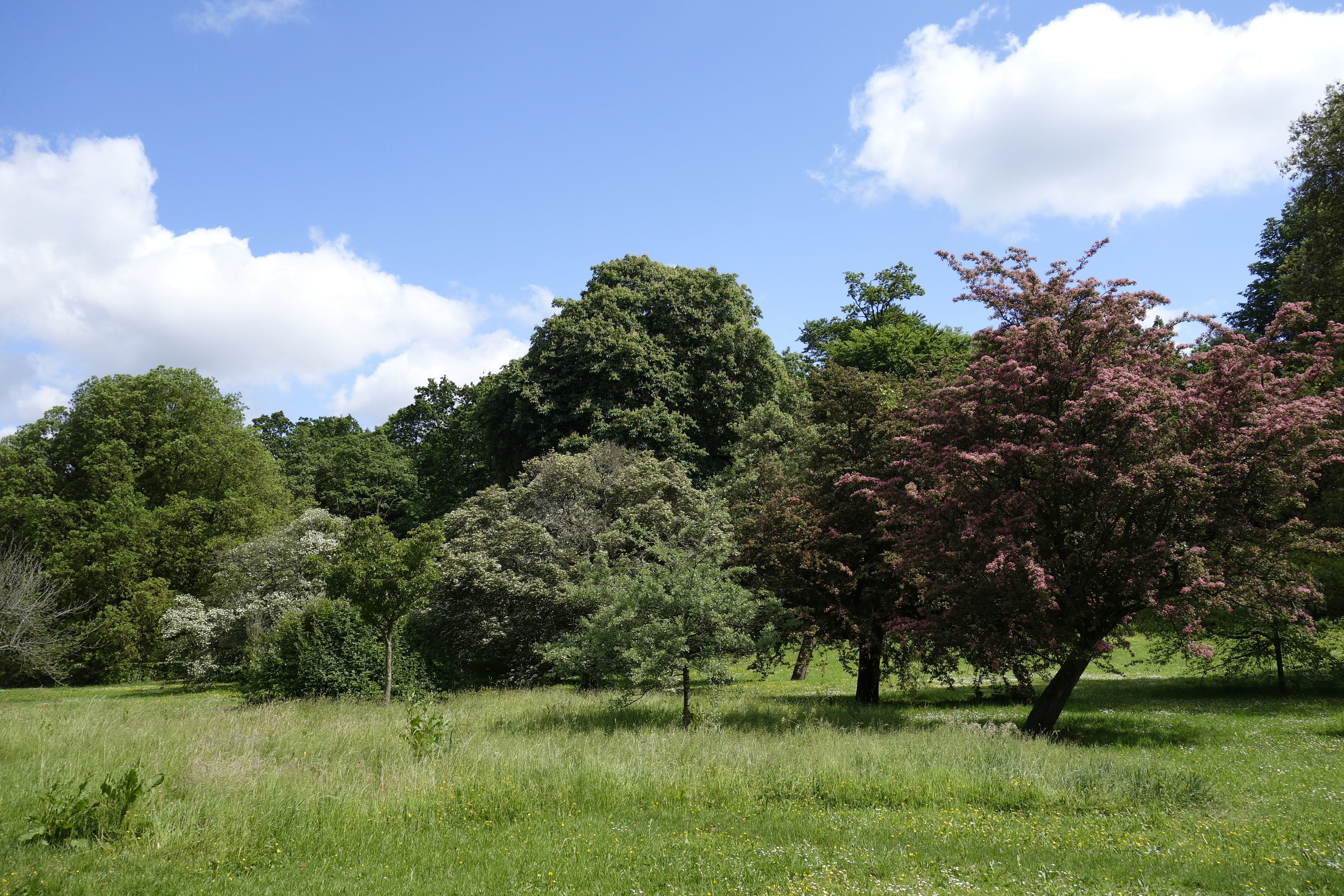 Sony RX100 sample image