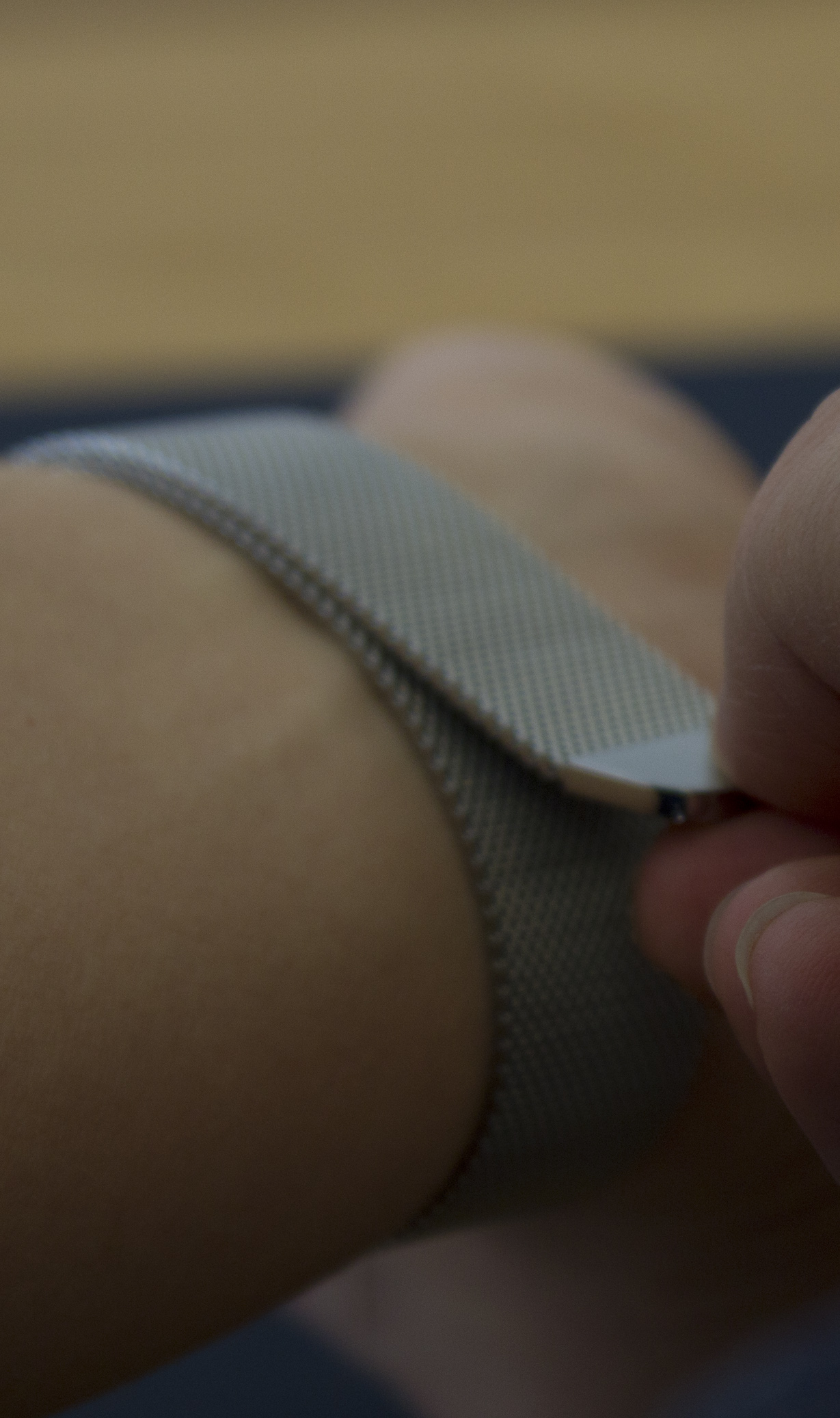 Apple Watch Milanese Loop