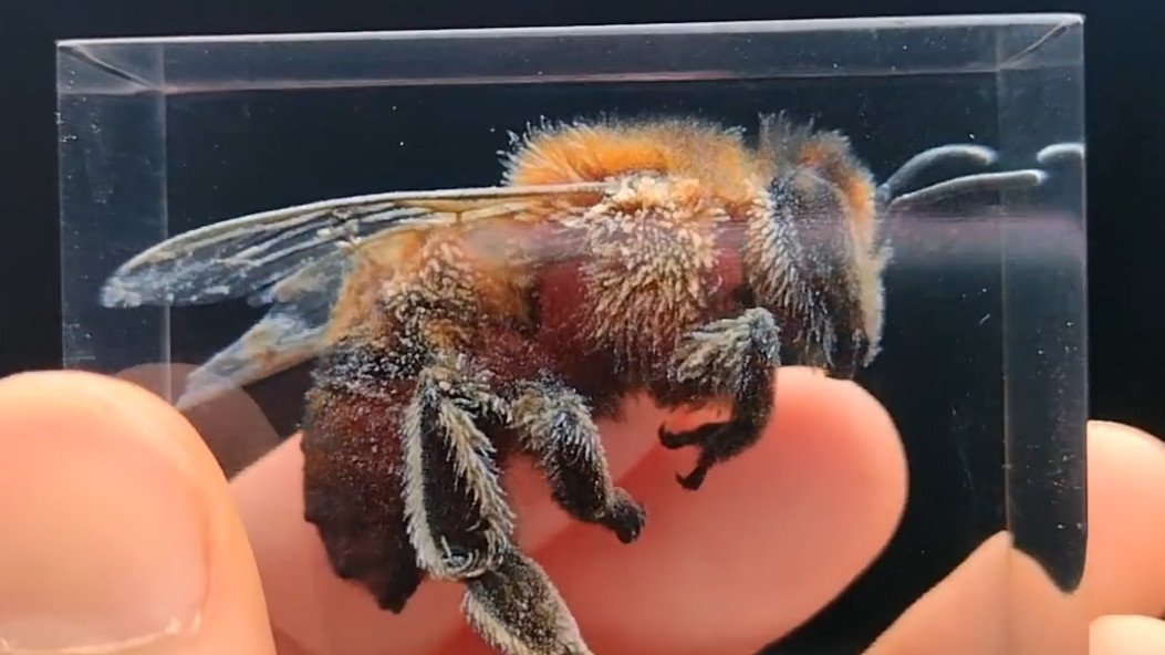 Crysta 3D printed cube of bee