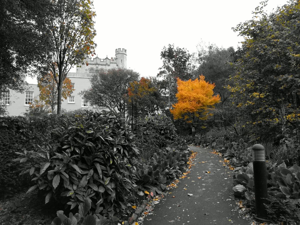 Spot color mode is surprisingly effective.