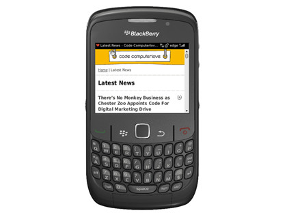 Blackberry intermediate