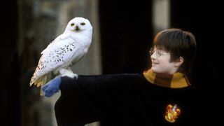 Harry Potter and the Philosopher&rsquo;s Stone 
