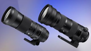 Sigma 150-600mm f/5-6.3