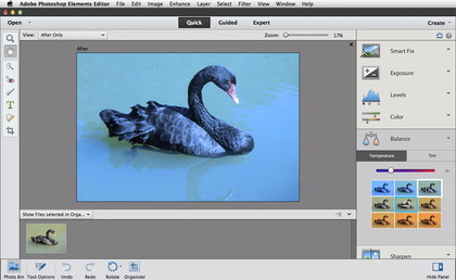 Adobe Photoshop Elements 11 review