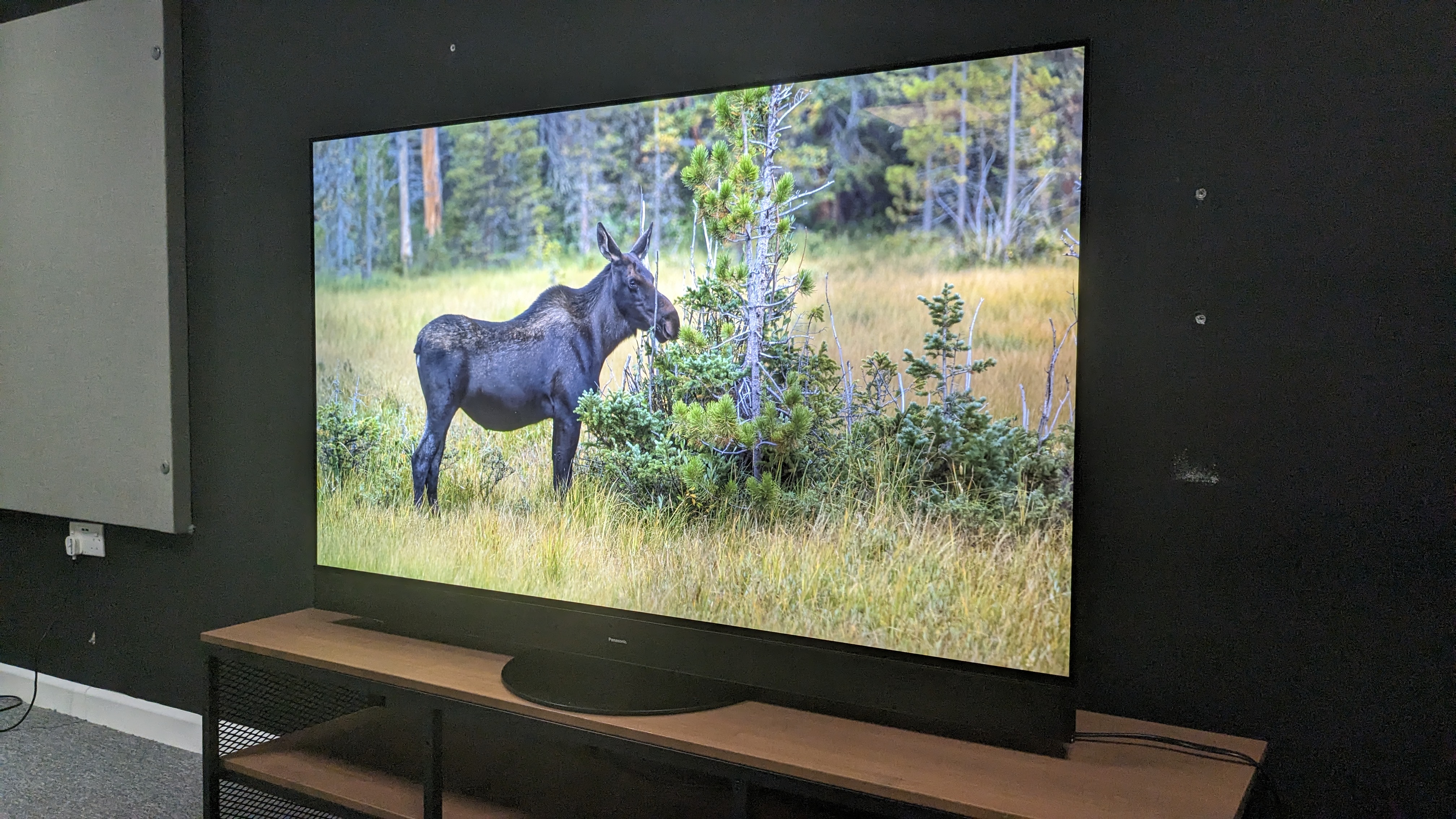 Panasonic MZ2000 with moose on screen 