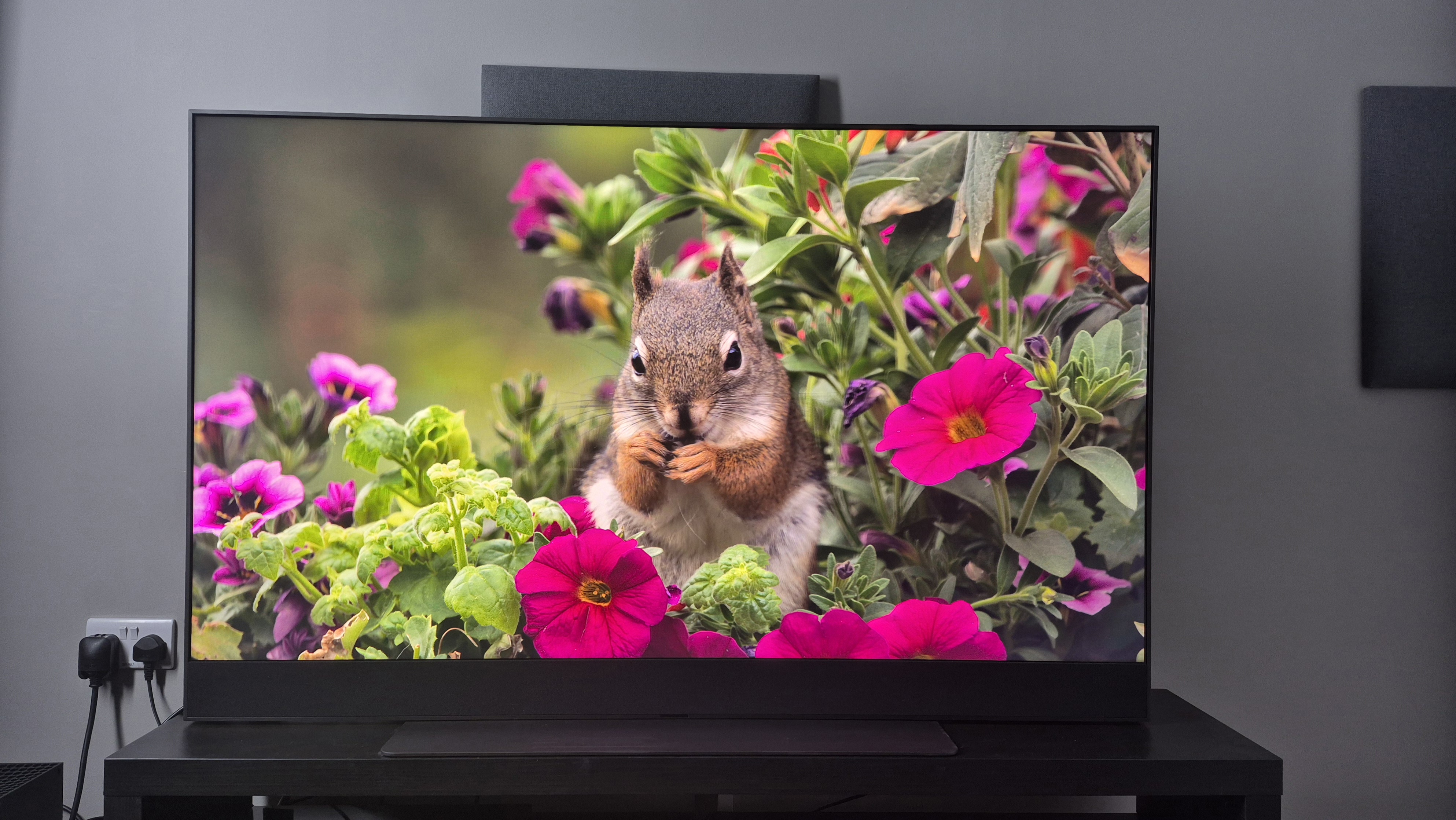 Sky Glass Gen 2 displaying a squirrel