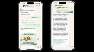Perplexity WhatsApp Fact Check