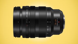 Panasonic Leica DG Vario-Summilux 10-25mm f/1.7
