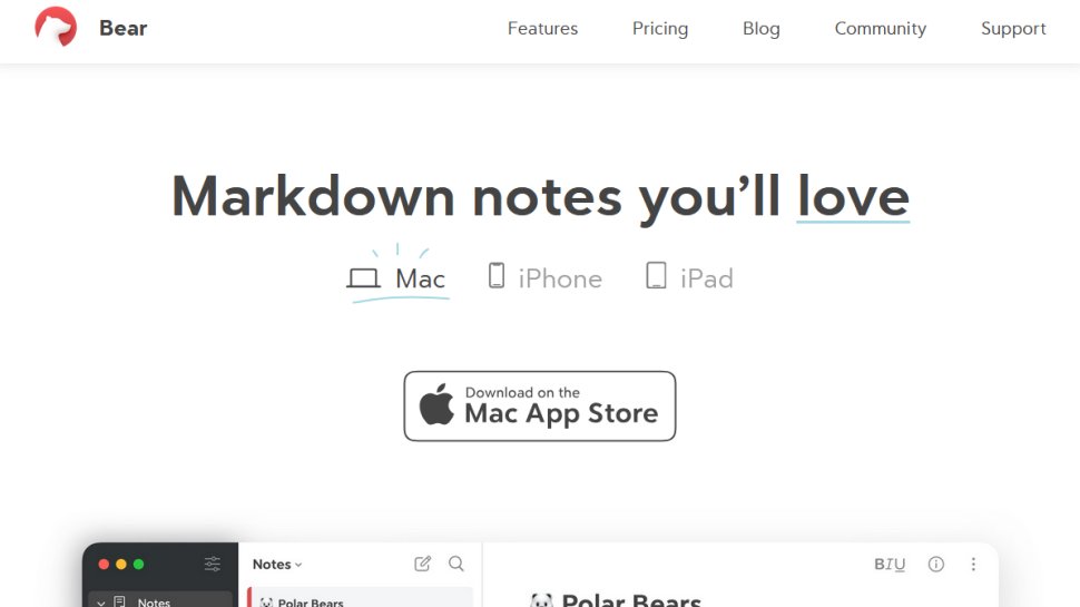 Bear website screenshot (January 2026).
