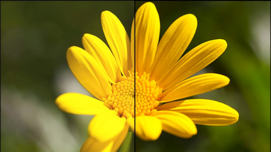 The left side of the above image uses sRGB profile found in JPEG; the right side uses a wider colour spectrum found in HEIF and appears more vivid and in greater detail. This contrast is emphasized for illustration purposes - to ensure that even in displays that don&amp;rsquo;t support HDR and wider colour spectra can see the difference. (Image credit: Cloudinary)