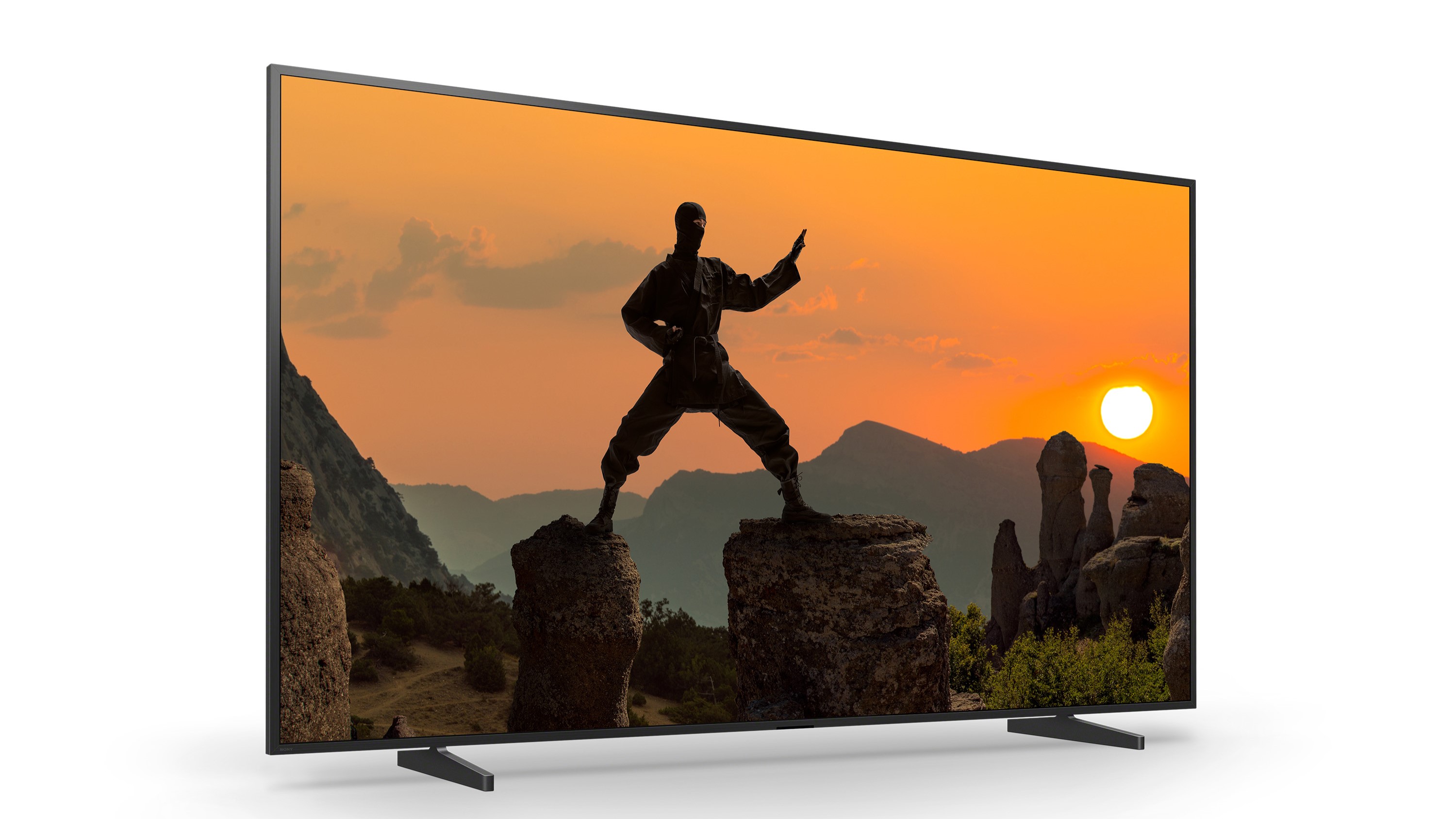 Sony Bravia 5 showing image of martial artist