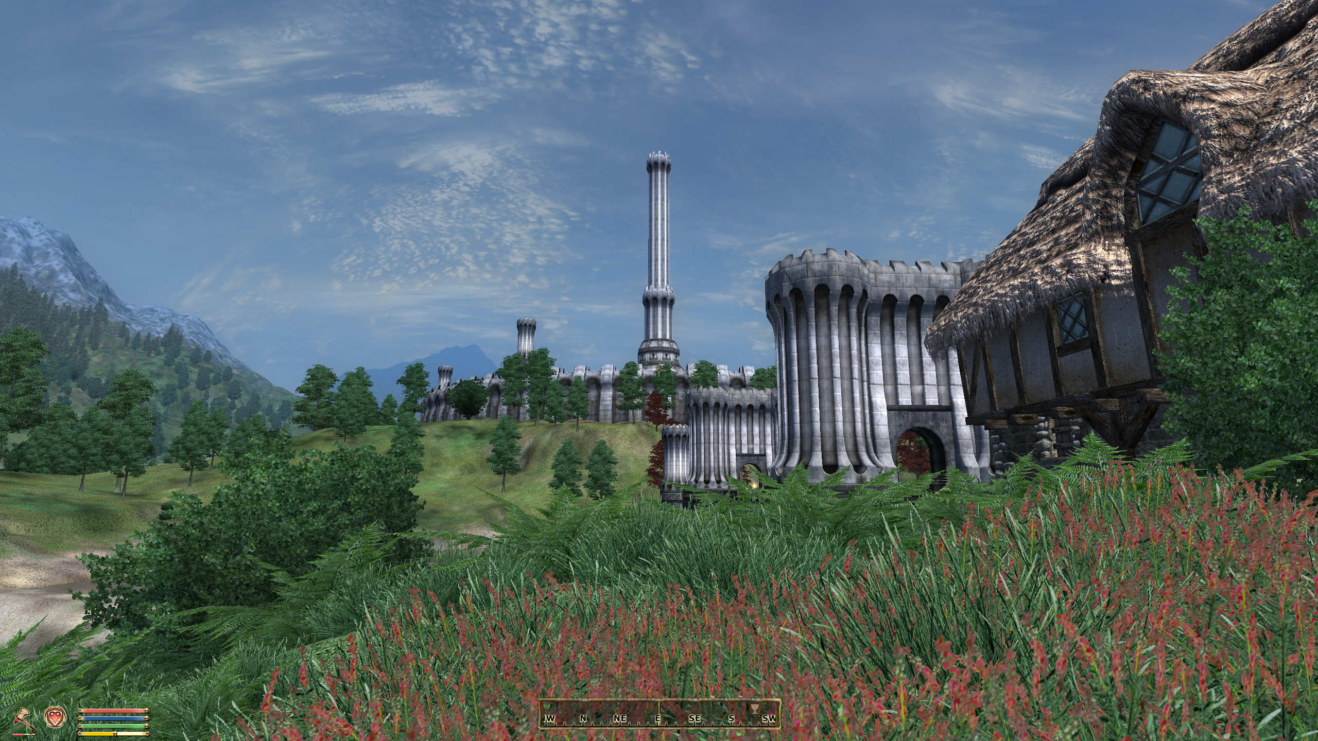Oblivion modding