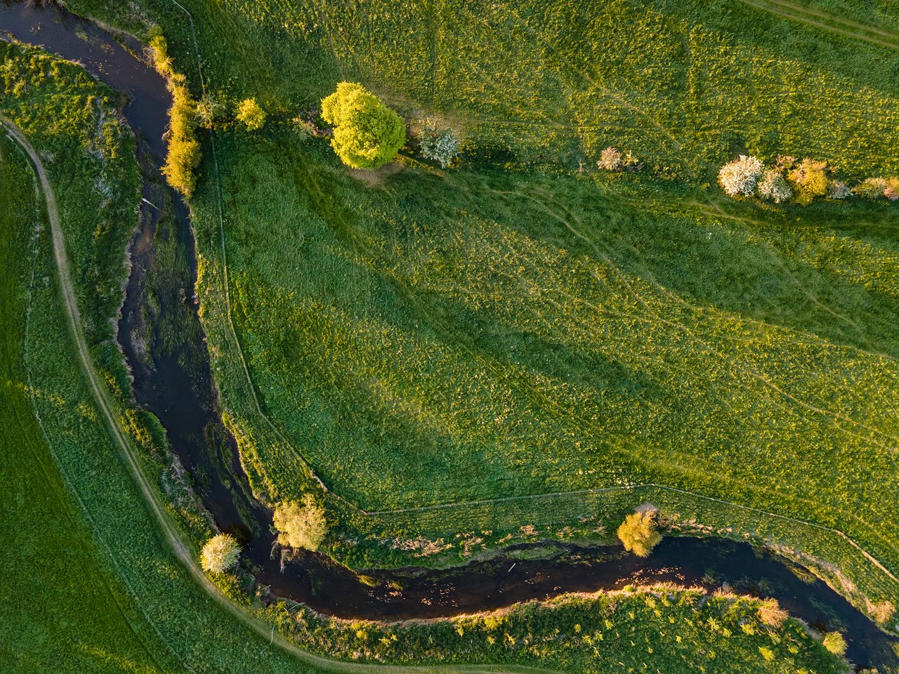 DJI Mavic Air 2 stills image quality