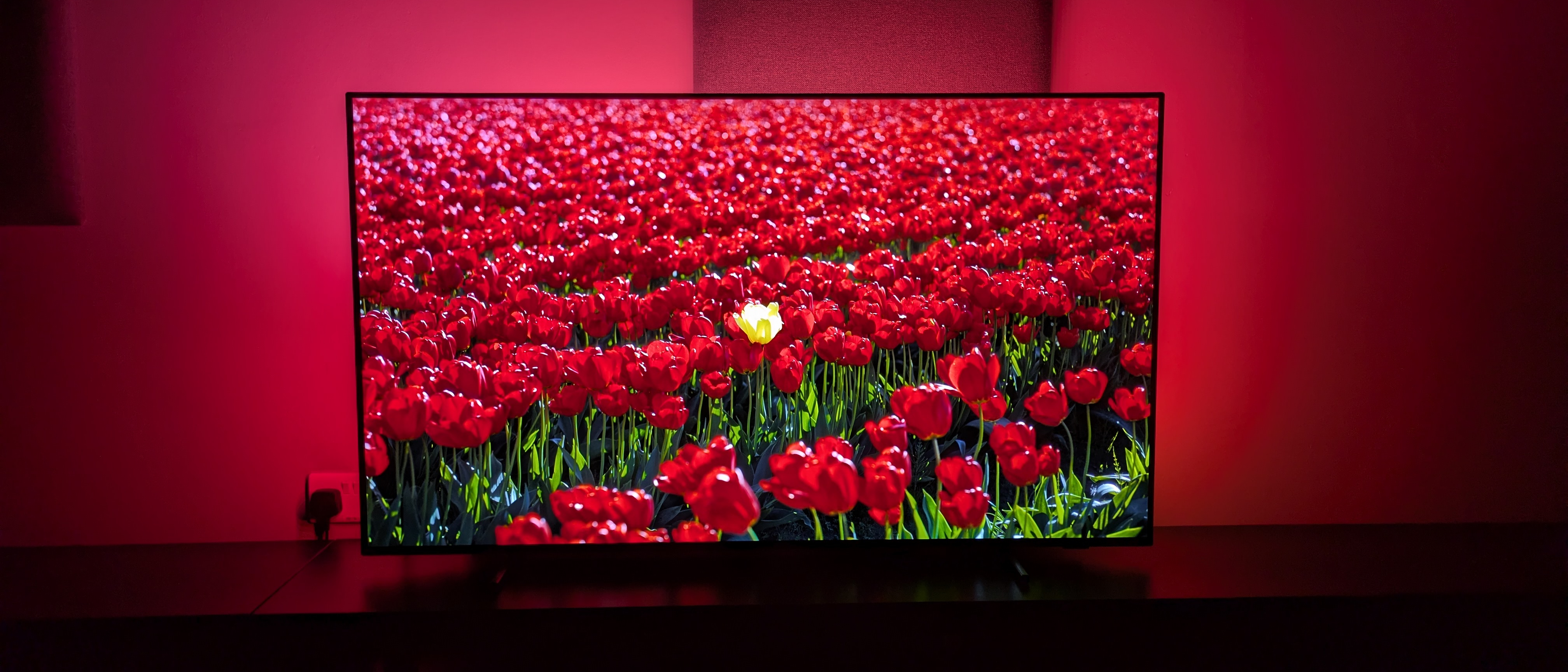 Philips OLED760 hero image showing red flowers on screen with Ambilight around TV
