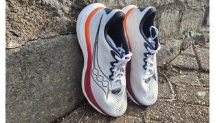 Saucony Ride 19