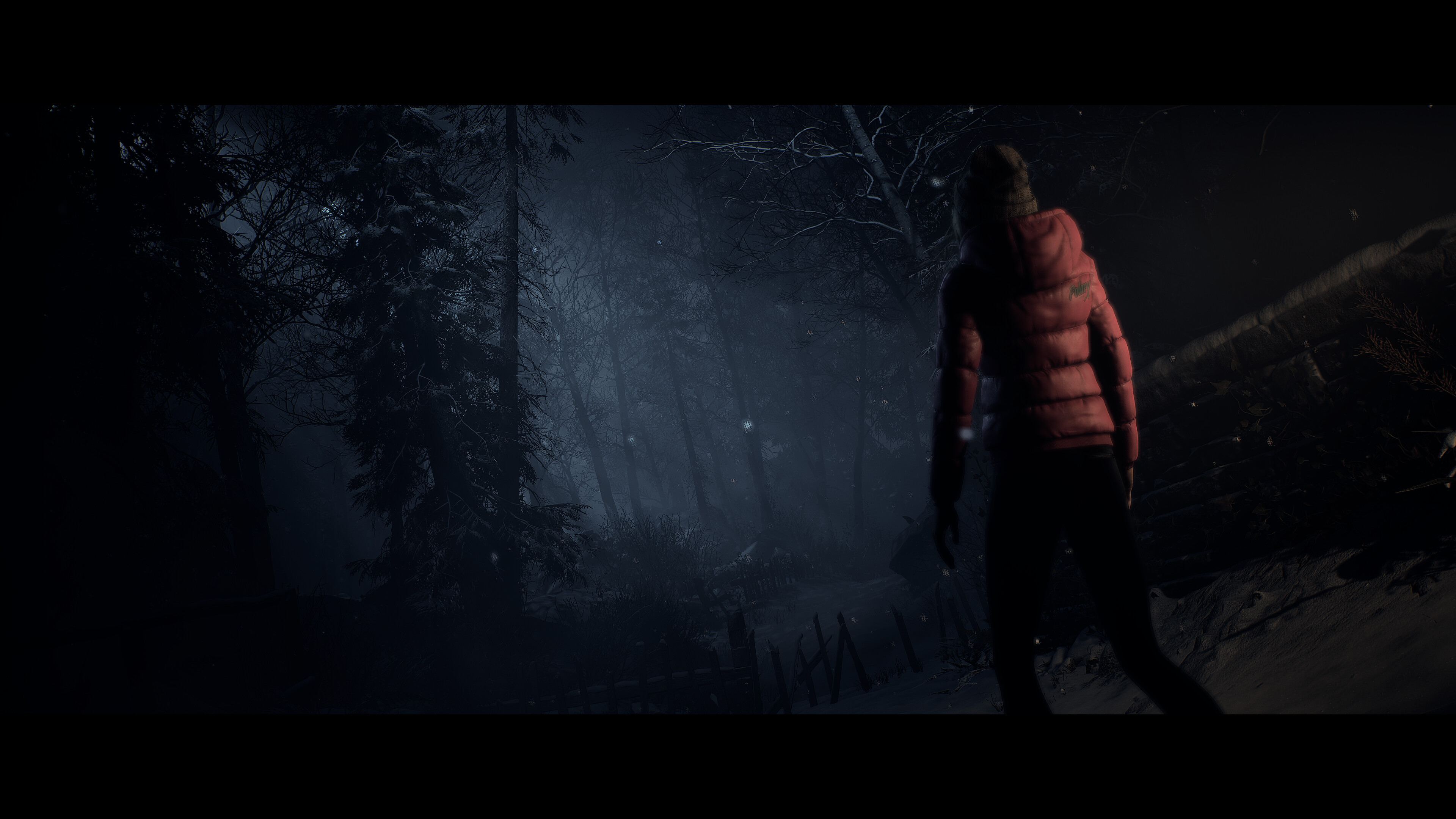 A character walking into the woods in Until Dawn.
