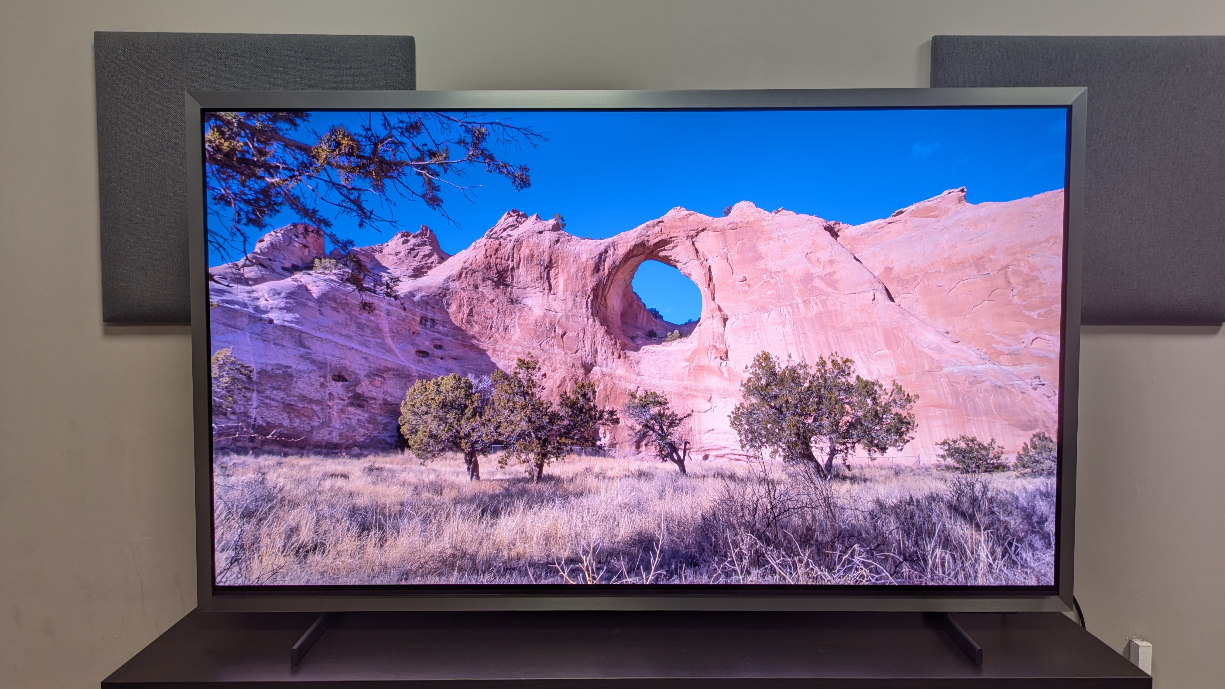 Samsung S99H with canyon and cliffside on bright day