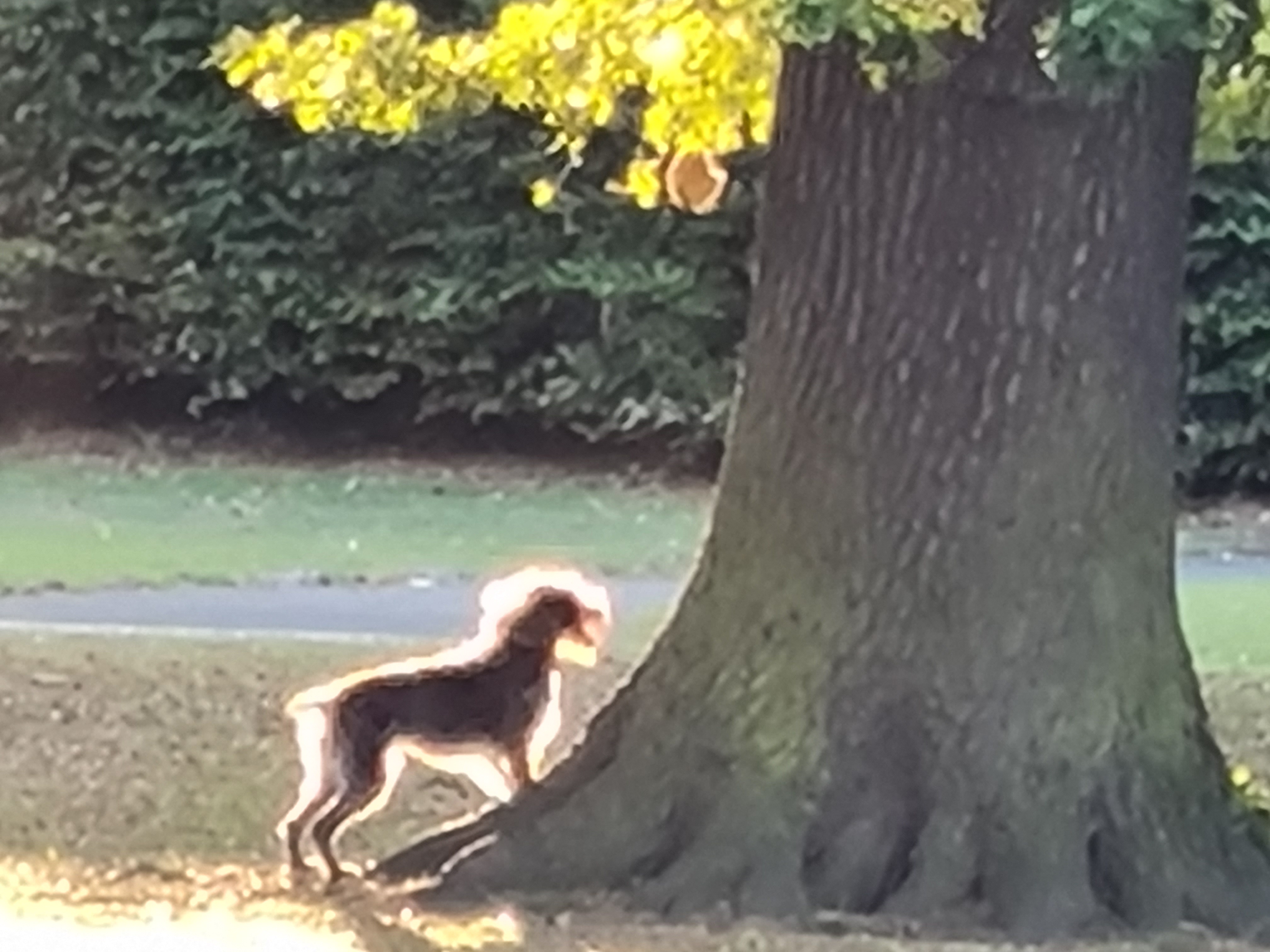While you can shoot photos at up to 30x zoom, they look horrible every single time&amp;nbsp;