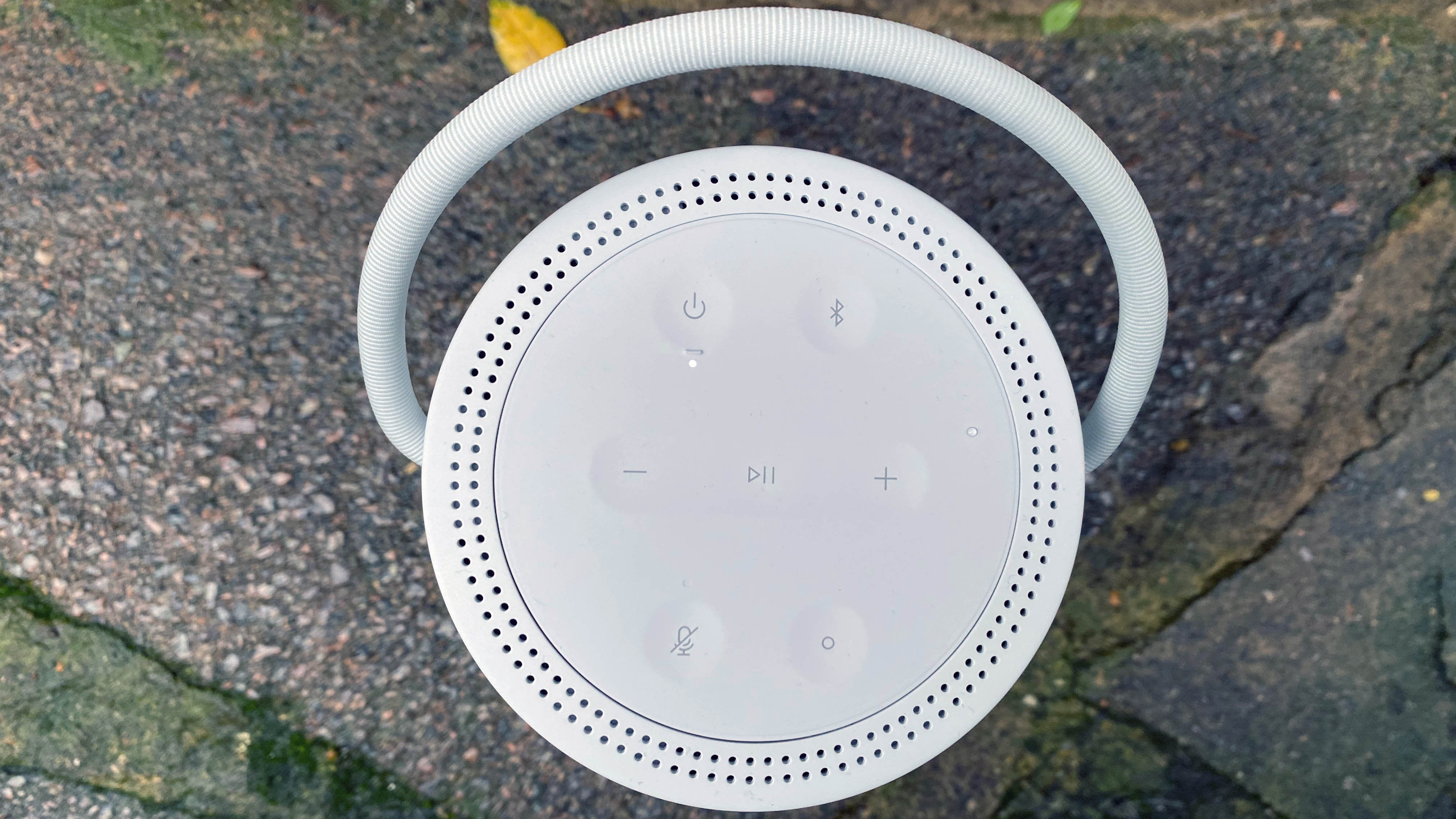 bose portable home speaker