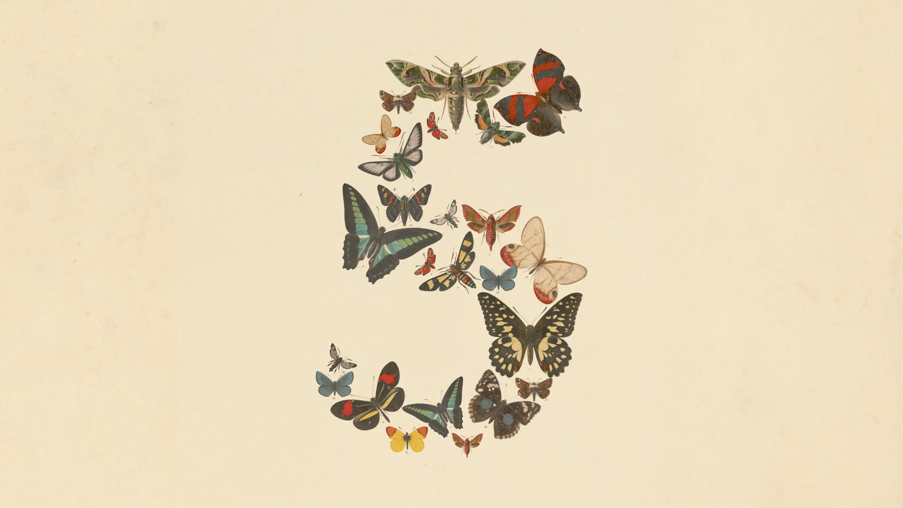 Fable 5, from Anthropic